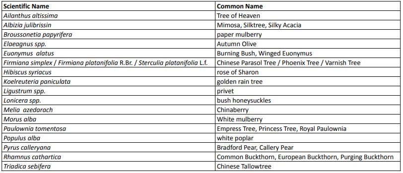 table list of invasive trees